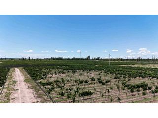Foto 13 de VENTA DE FINCA DE 21 HAS Y 697 M2 EN CARRIL FLORIDA, MIRADOR-RIVADAVIA