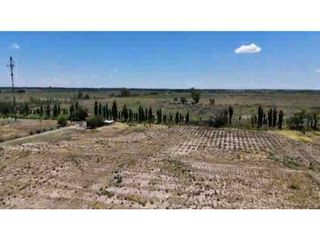 Foto 7 de VENTA DE FINCA DE 21 HAS Y 697 M2 EN CARRIL FLORIDA, MIRADOR-RIVADAVIA