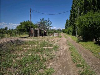 Foto 15 de VENTA DE FINCA DE 21 HAS Y 697 M2 EN CARRIL FLORIDA, MIRADOR-RIVADAVIA