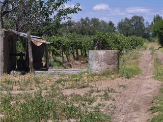 Foto 11 de VENTA DE FINCA DE 21 HAS Y 697 M2 EN CARRIL FLORIDA, MIRADOR-RIVADAVIA