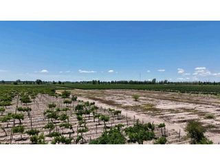 Foto 9 de VENTA DE FINCA DE 21 HAS Y 697 M2 EN CARRIL FLORIDA, MIRADOR-RIVADAVIA