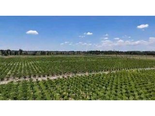 Foto 1 de VENTA DE FINCA DE 21 HAS Y 697 M2 EN CARRIL FLORIDA, MIRADOR-RIVADAVIA