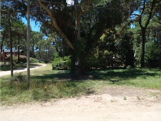 Foto 13 de Lote Urquiza y Betbeder