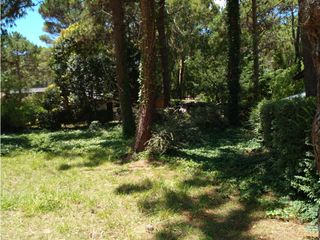 Foto 15 de Lote Urquiza y Betbeder