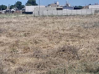 Foto 2 de LOTES EN VENTA 300m2 a 451m2  - OPORTUNIDAD- SE ACEPTA PERMUTA- FINANCIACION- CON ESCRITURA - LONGCHAMPS