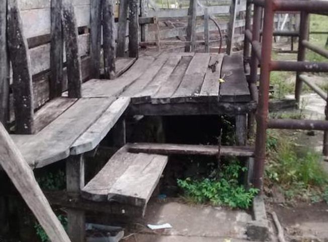 place photo 17
