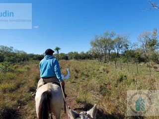 Foto 16 de Se vende Campo ganadero forestal - Santa Ana