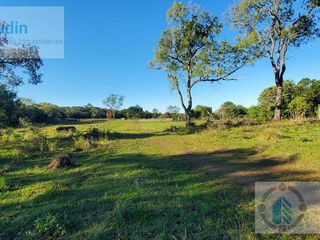 Foto 20 de Se vende Campo ganadero forestal - Santa Ana