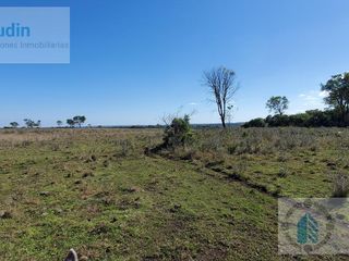 Foto 31 de Se vende Campo ganadero forestal - Santa Ana
