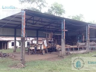 Foto 11 de Se vende Campo ganadero forestal - Santa Ana