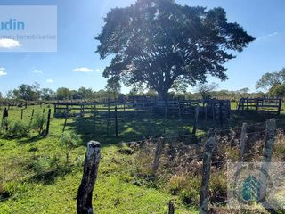 Foto 18 de Se vende Campo ganadero forestal - Santa Ana