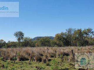 Foto 19 de Se vende Campo ganadero forestal - Santa Ana