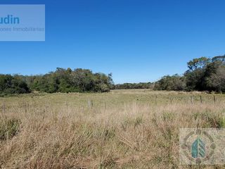 Foto 15 de Se vende Campo ganadero forestal - Santa Ana
