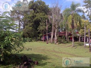 Foto 6 de Se vende Campo ganadero forestal - Santa Ana