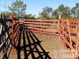 Foto 7 de Se vende Campo ganadero forestal - Santa Ana
