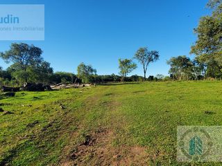 Foto 21 de Se vende Campo ganadero forestal - Santa Ana