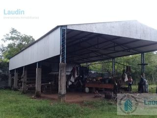 Foto 10 de Se vende Campo ganadero forestal - Santa Ana