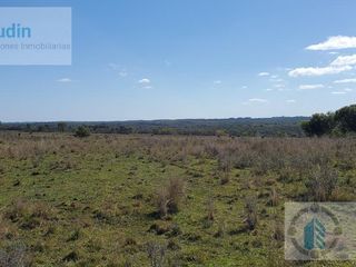 Foto 28 de Se vende Campo ganadero forestal - Santa Ana