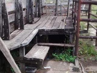 Foto 17 de Se vende Campo ganadero forestal - Santa Ana