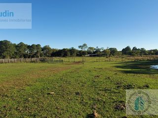 Foto 22 de Se vende Campo ganadero forestal - Santa Ana
