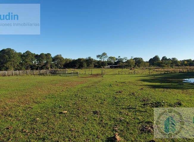 place photo 22