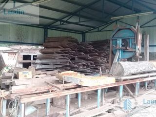 Foto 12 de Se vende Campo ganadero forestal - Santa Ana