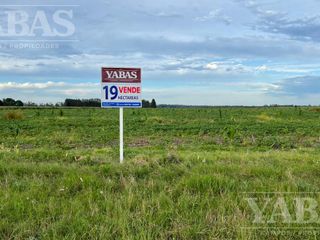 VENTA - CAMPO - 19 HAS -  SOBRE RUTA Nº191 - 100% AGRICOLAS -  SAN PEDRO