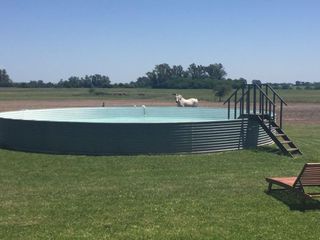 Foto 8 de Campo de 32 has con  casa de 200m2 - San Antonio De Areco