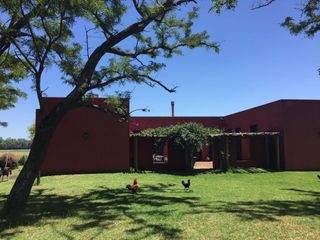 Foto 2 de Campo de 32 has con  casa de 200m2 - San Antonio De Areco