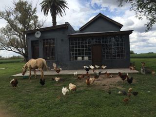 Foto 5 de Campo de 32 has con  casa de 200m2 - San Antonio De Areco