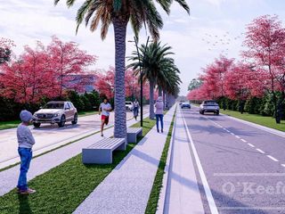 Foto 49 de Lote en venta en Puerto Nizuc - Oportunidad de inversión en Guillermo Hudson