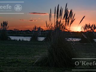 Foto 6 de Lote en venta en Puerto Nizuc - Oportunidad de inversión en Guillermo Hudson