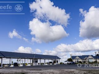 Foto 10 de Lote en venta en Puerto Nizuc - Oportunidad de inversión en Guillermo Hudson
