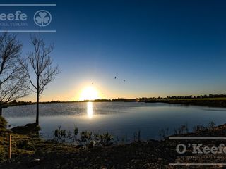Foto 16 de Lote en venta en Puerto Nizuc - Oportunidad de inversión en Guillermo Hudson