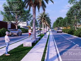 Foto 47 de Lote en venta en Puerto Nizuc - Oportunidad de inversión en Guillermo Hudson