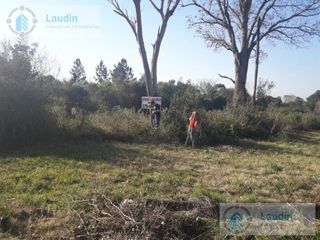 Foto 2 de Terreno - Cerro Cora