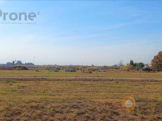 Foto 5 de Terreno - Ibarlucea