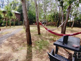 Foto 10 de Venta casa quinta en  Arturo Seguí