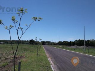 Foto 4 de Terreno en Oliveros