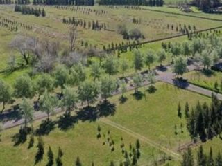 Foto 6 de Terreno en venta - 800mts2 - Coronel Brandsen