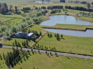 Foto 1 de Terreno en venta - 800mts2 - Coronel Brandsen