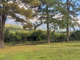 Foto 5 de Campo Foresto Ganadero en Venta