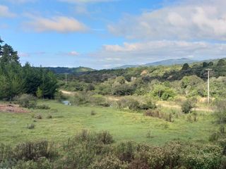Foto 10 de Campo Foresto Ganadero en Venta