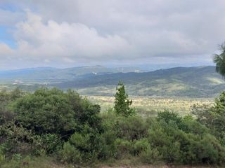 Foto 3 de Campo Foresto Ganadero en Venta
