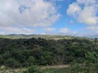 Foto 11 de Campo Foresto Ganadero en Venta
