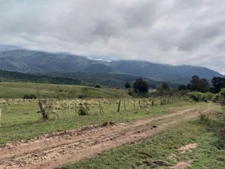 Foto 24 de Campo Foresto Ganadero en Venta