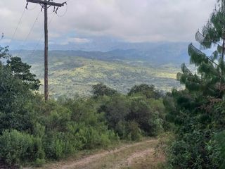Foto 14 de Campo Foresto Ganadero en Venta