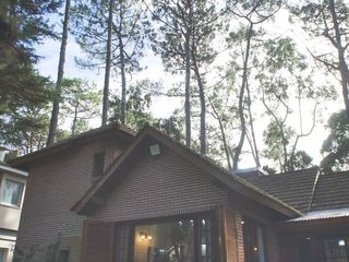 Foto 28 de Hermoso chalet de 4 dormitorios en medio del bosque de Carilo