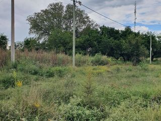 Foto 7 de Terreno en Coronel Brandsen