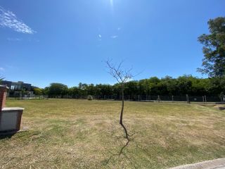 Foto 4 de Terreno - Santa Elena